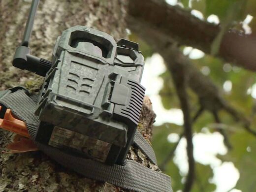 Police de l’Environnement : Protéger Notre Patrimoine Naturel