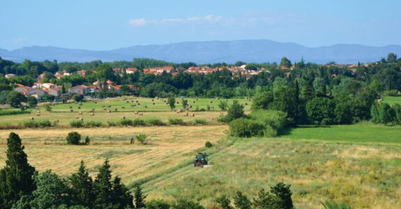 Agriculture peri-urbaine